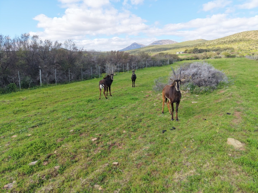 Commercial Property for Sale in Mossel Bay Rural Western Cape